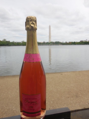 Champagne Porgeon et Fils - 